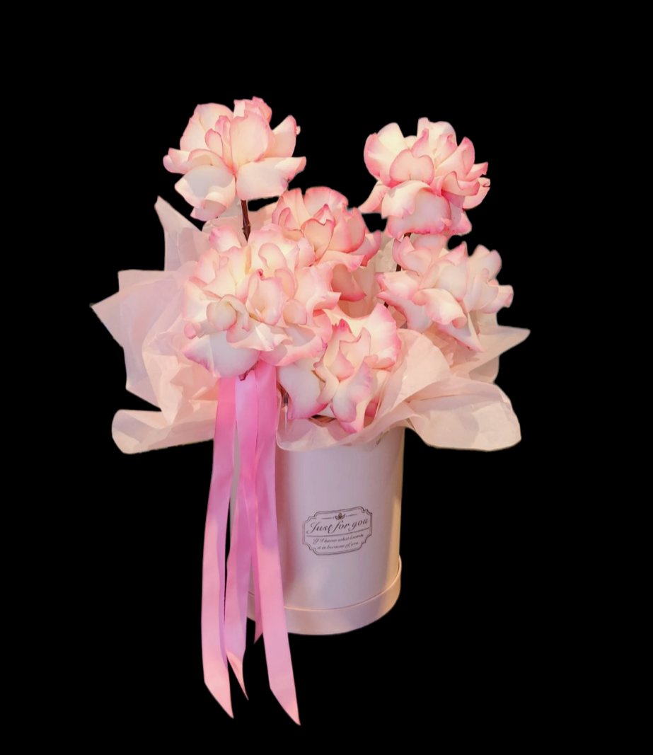 THE NIKKI | HAT BOX