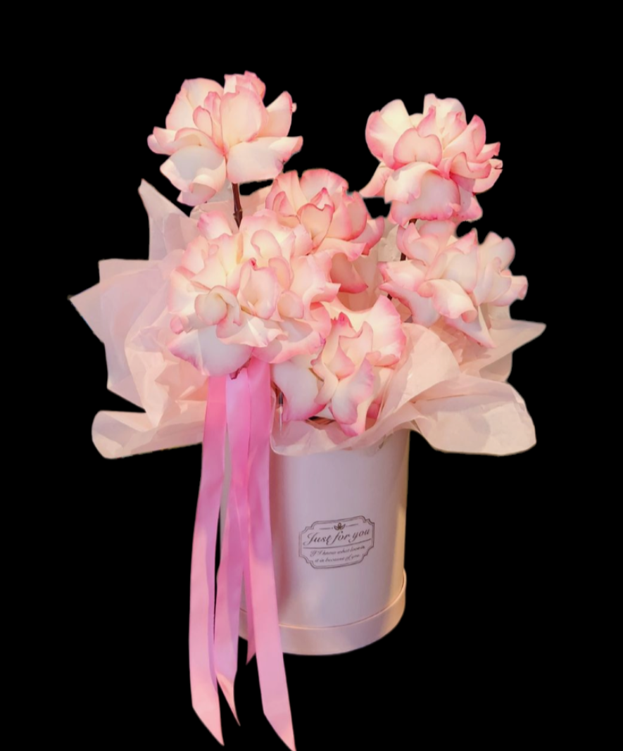 THE NIKKI | HAT BOX