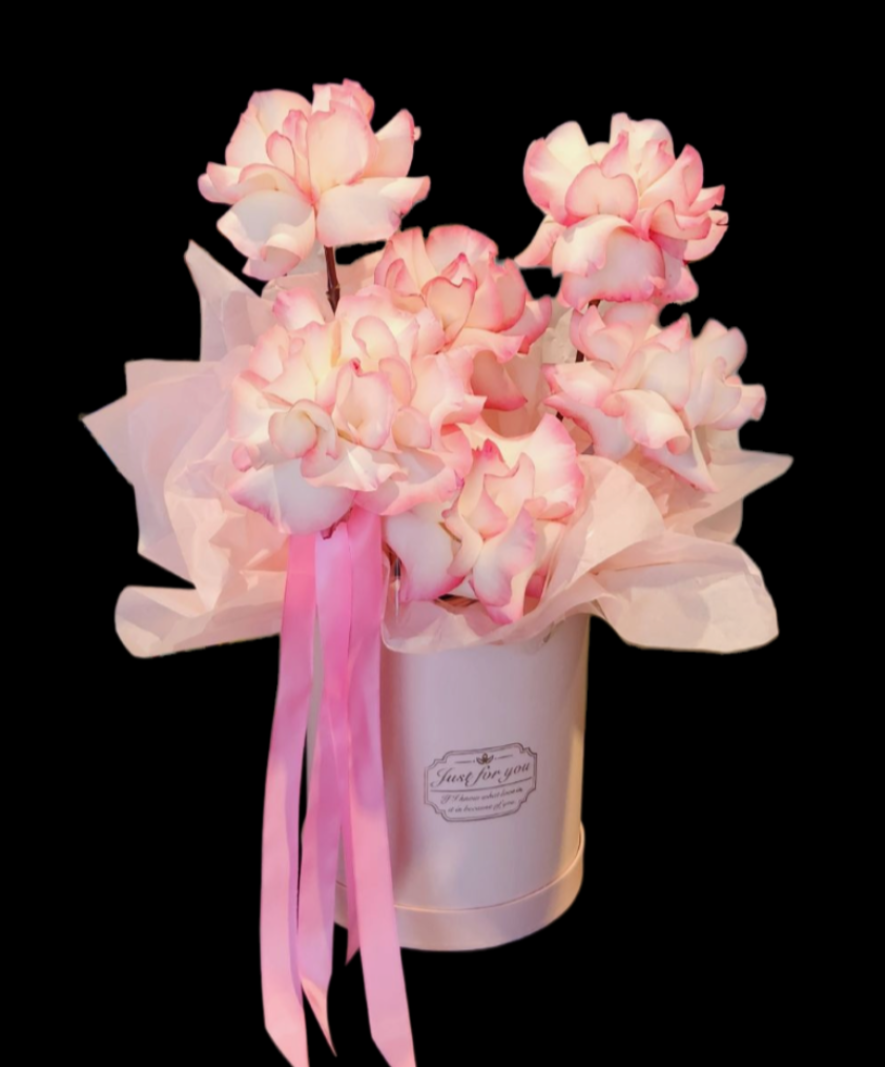 THE NIKKI | HAT BOX