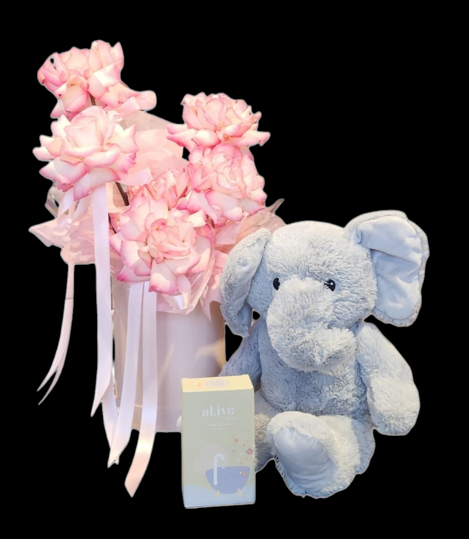 BABY MEILANI | GIFT SET 2