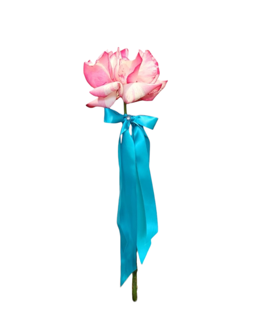 THE ONE | SINGLE ROSE
