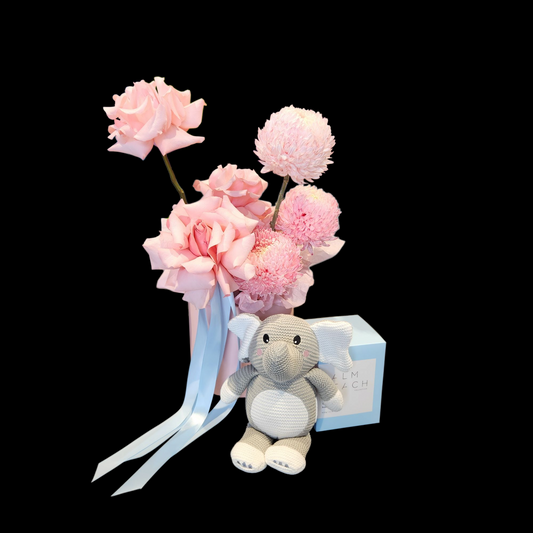 BABY BOY | GIFT SET 2