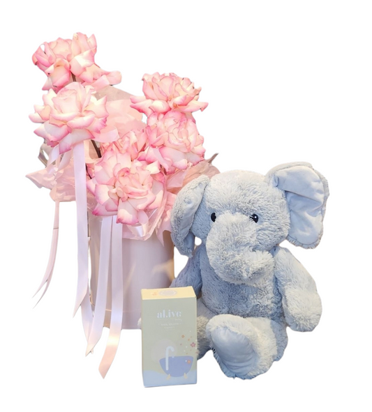BABY MEILANI | GIFT SET 2