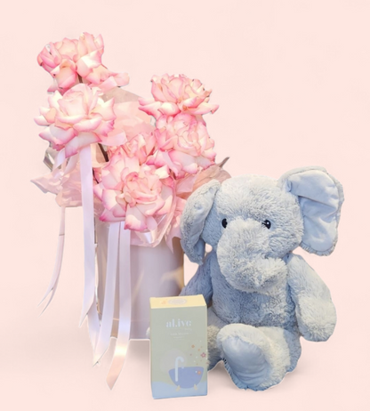 BABY MEILANI | GIFT SET 2