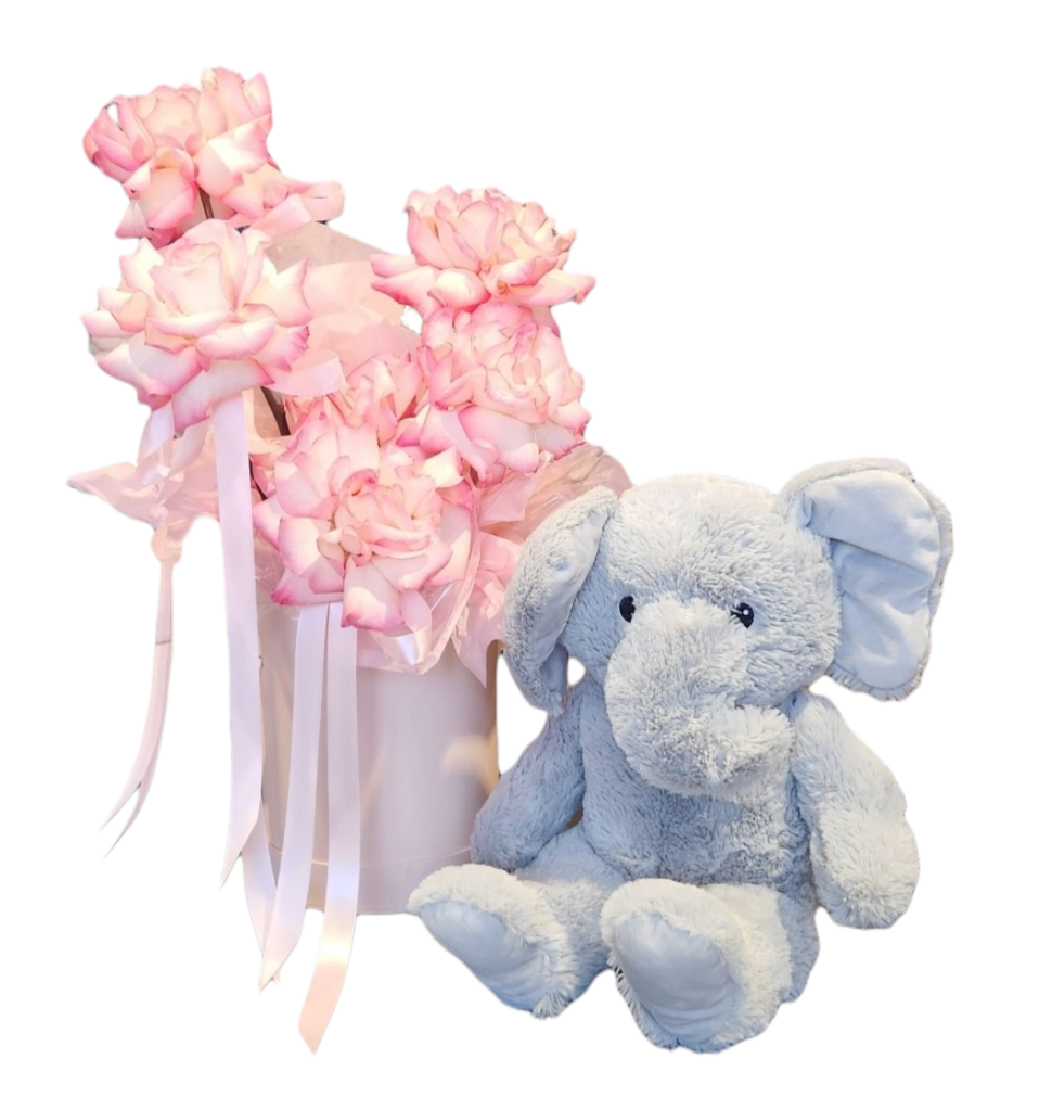 BABY MEILANI | GIFT SET 1