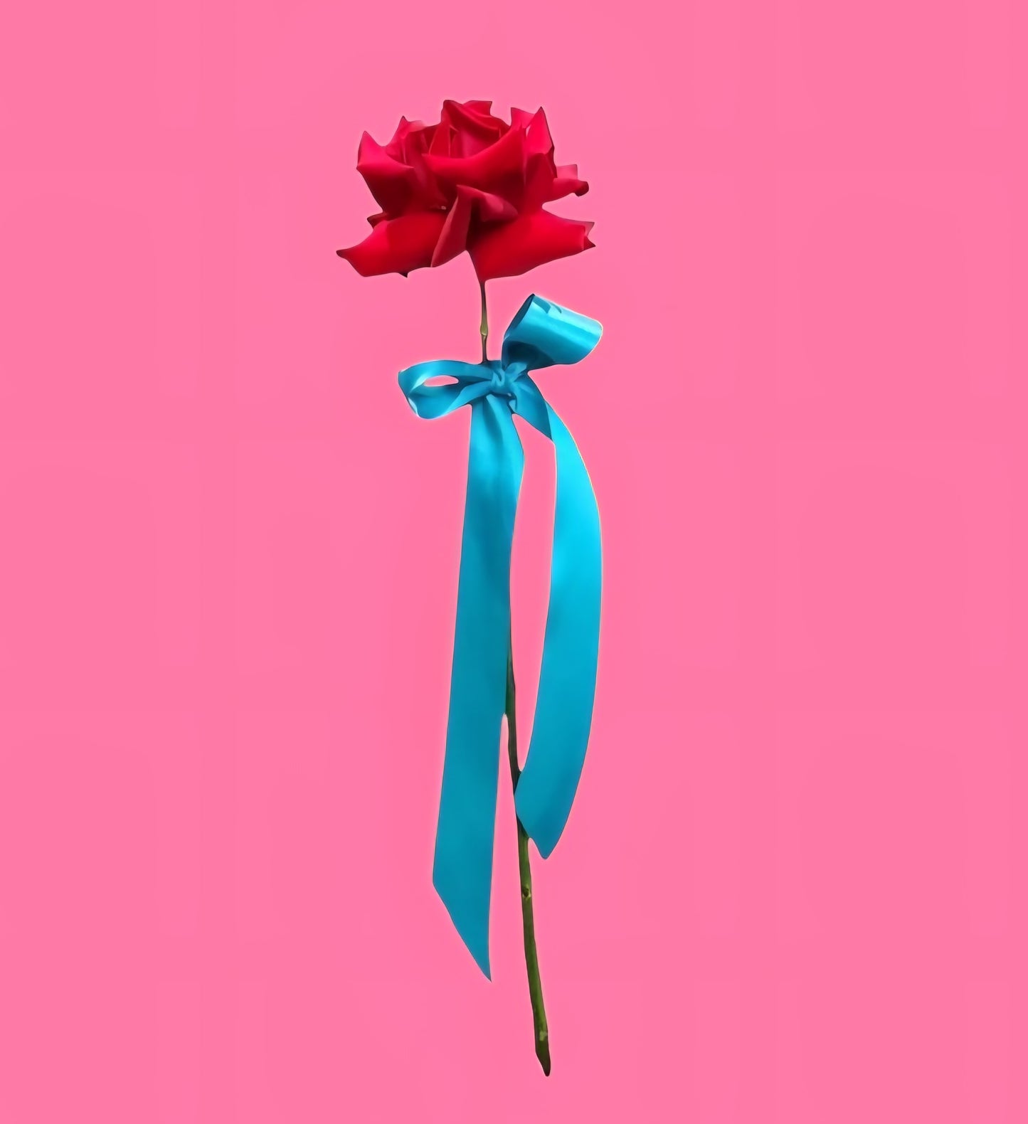 THE ONE | SINGLE ROSE